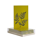 Paula Skene Fern Trio Mini Note Cards, Set of 8