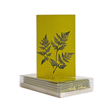 Paula Skene Fern Trio Mini Note Cards, Set of 8