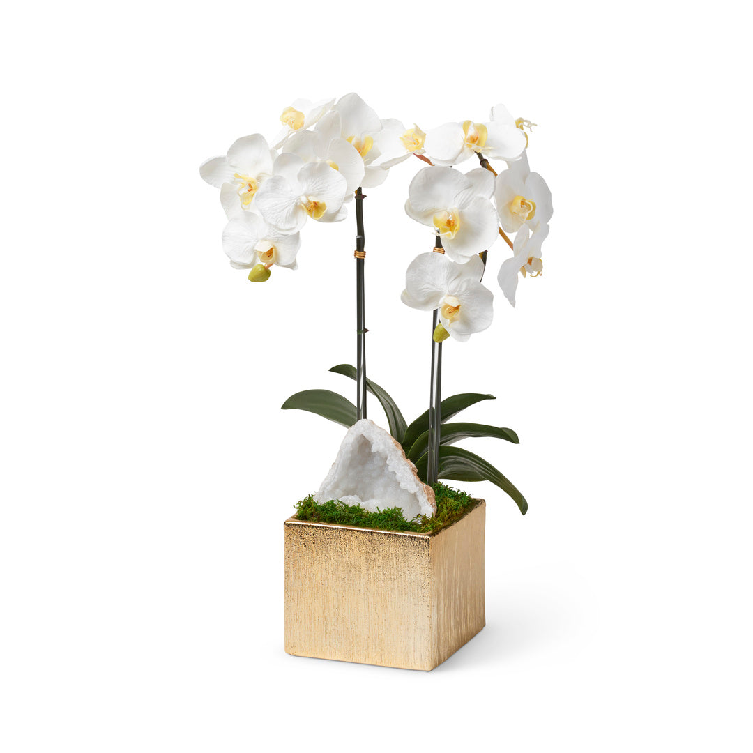 White Orchid with Crystal Geode