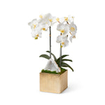 White Orchids with Crystal Geode