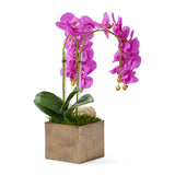 Fuchsia Orchids with Crystal Geode