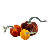 Autumn Glow Velvet Pumpkins, Set of 3