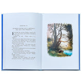 Winnie the Pooh, Leather Bound