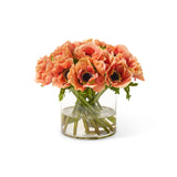 Sun-Kissed Orange Anemones