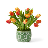 Chelsea Mixed Tulips