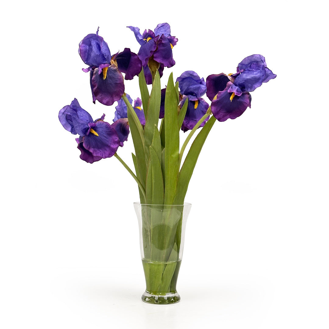 Bearded Iris Bouquet, Blue & Purple