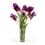 Bearded Iris Bouquet, Red & Purple