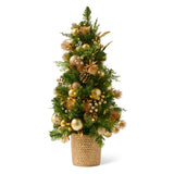 Golden Light Pine Tree