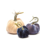 Twilight Tide Velvet Pumpkins, Set of 3