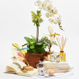 Room Diffuser, Vetiver