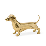 Goldie Dachshund