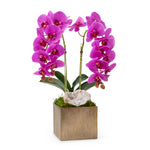 Fuchsia Orchids with Crystal Geode