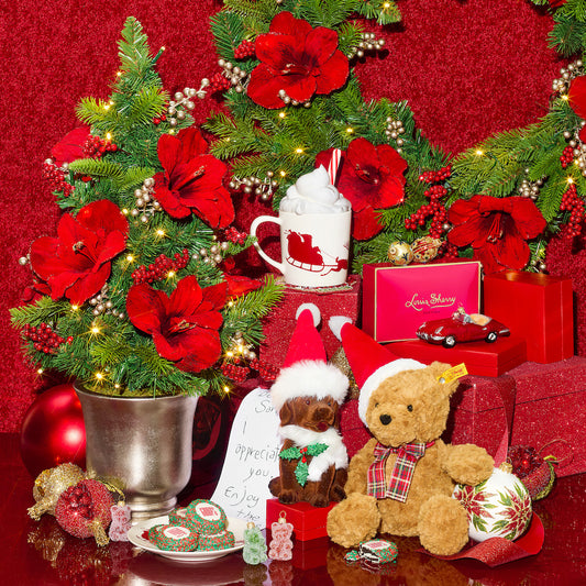 Jimmy Teddy Bear with Santa Hat