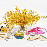 Louxor Pencil Holder