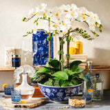 100 Points Universal Glass