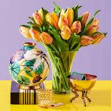 Paradise Tulips