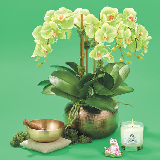 Tremé Chartreuse Orchids