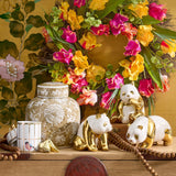 Printemps Tulip Wreath