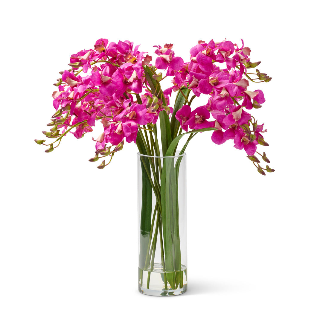 Rive Gauche Dendrobium Orchids