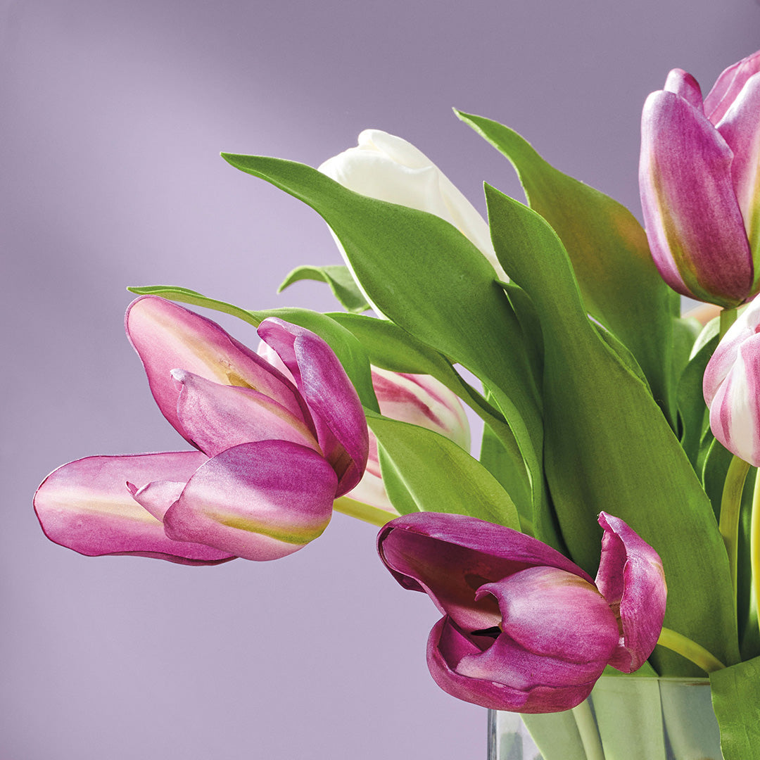 Chelsea Mixed Tulips – Gump's