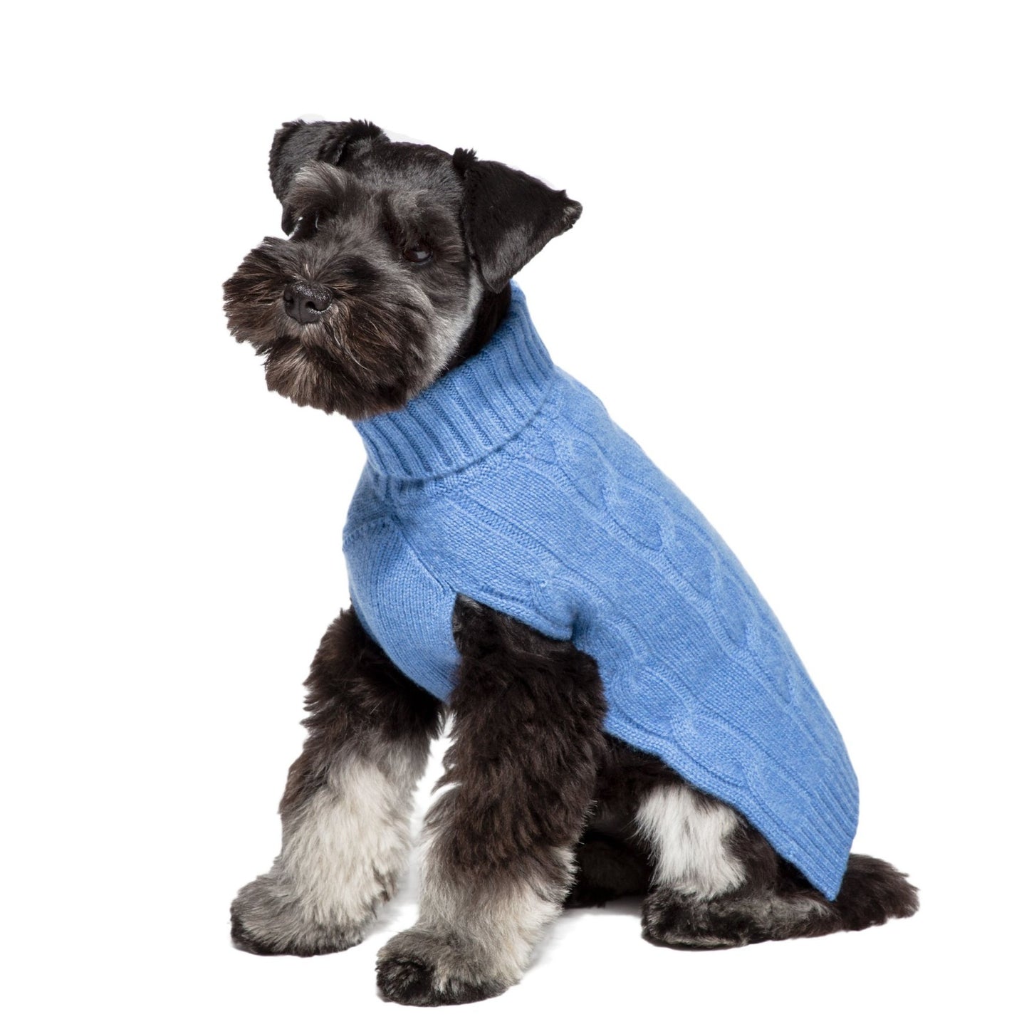 Cableknit Cashmere Dog Sweater, Navy