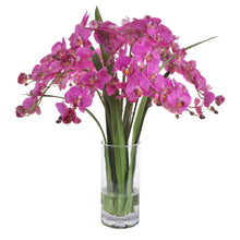 Phalaenopsis Orchids in Glass Vase