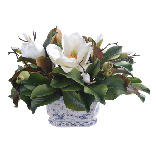 Magnolias in Ceramic Pot