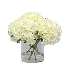 White Hydrangeas in Glass Vase