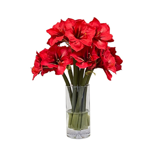 Holiday Red Amaryllis Bunch