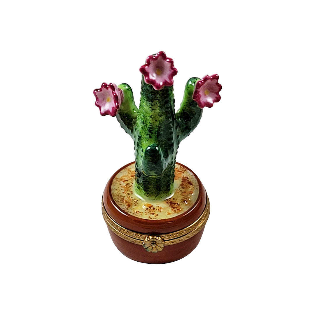 Flowering Cactus Limoges