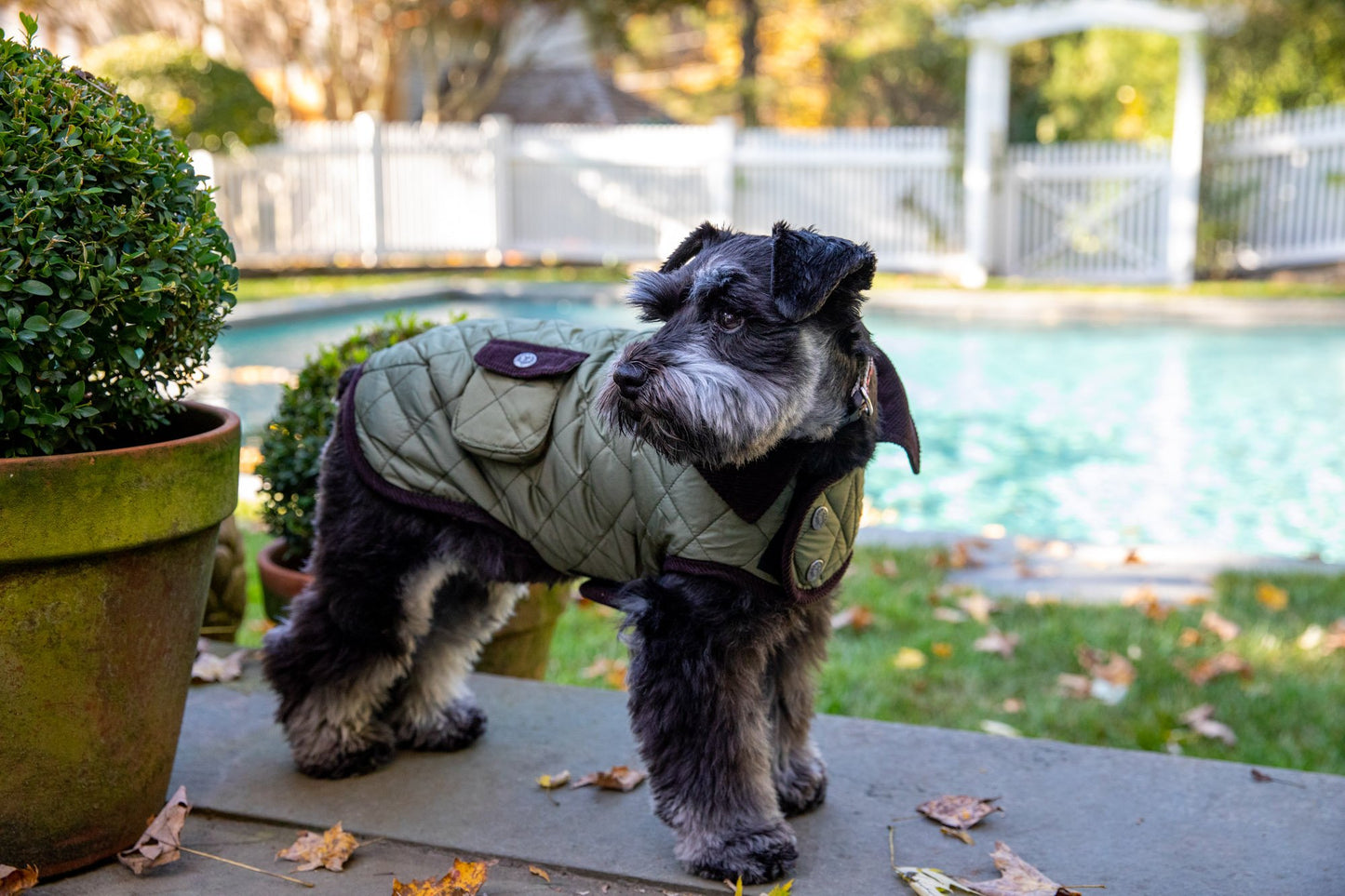 Loden Barn Coat with Brown Corduroy Collar