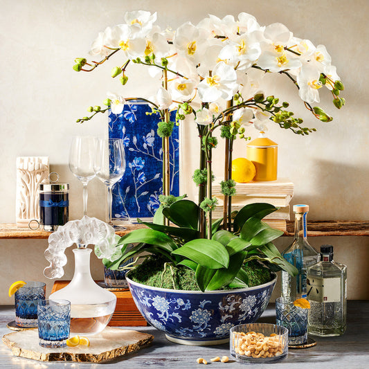 White Phalaenopsis in Longlife Bowl